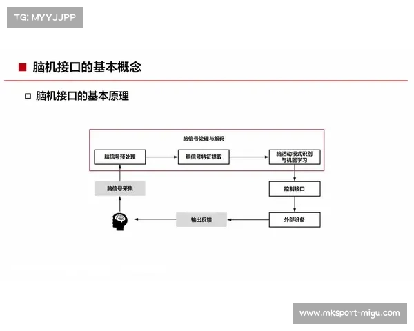 社交媒体实时互动接口接入信号流 实现了赛场内外的情绪即时关联